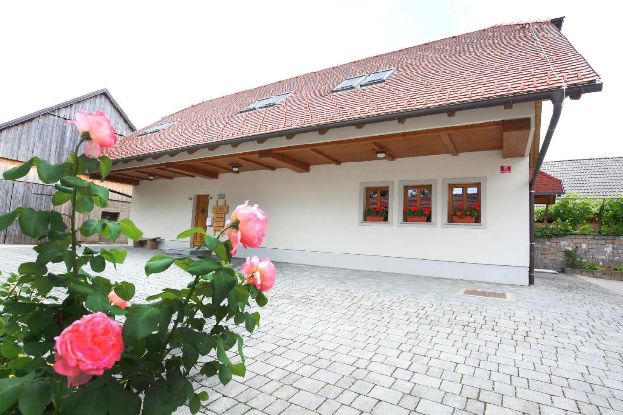 Apartments Vrdjan Cerknica Dış mekan fotoğraf