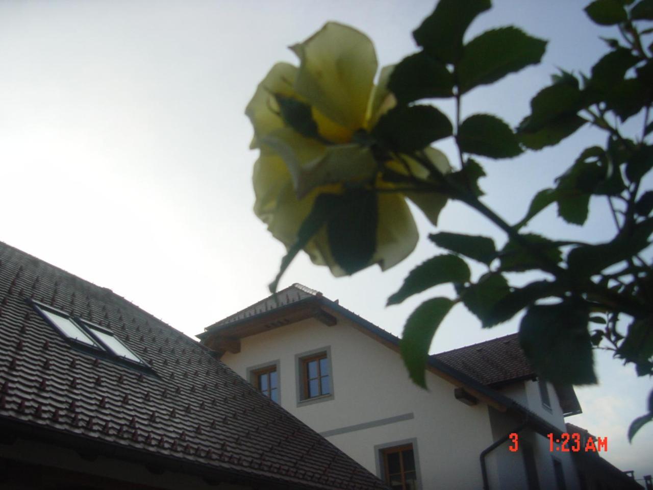 Apartments Vrdjan Cerknica Dış mekan fotoğraf