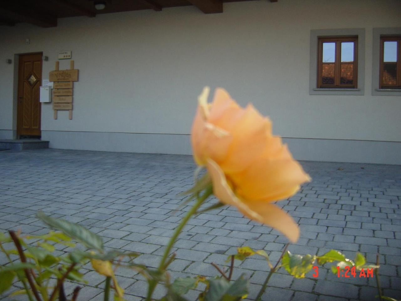 Apartments Vrdjan Cerknica Dış mekan fotoğraf